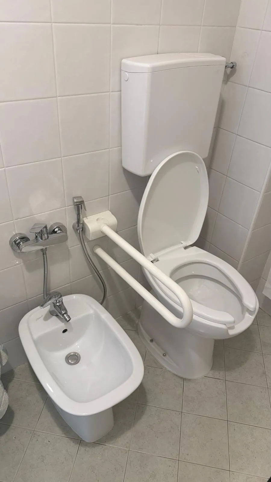 foto di bidet, miscelatore, wc disabili e maniglione inclinabile Zona sanitari attrezzata per persone con disabilità, con WC accessibile, maniglione di sostegno ribaltabile e miscelatore con doccetta igienica